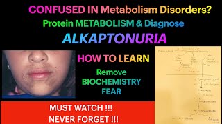 Alkaptonuria Biochemistry Protein Metabolism Amino acid Metabolism Tyrosine MetabolismDefect [upl. by Adeline694]