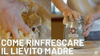 Come rinfrescare il Lievito Madre Lievito Naturale Pasta Madre [upl. by Rechaba246]