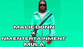 Malie Donn  MULA Ncb Riddim [upl. by Baumbaugh223]