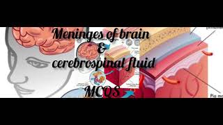 Menignes of brain amp Cerebrospinal fluid MCQS  Biobites MCQS For NEETamp NCRTS DrRafique Pitafi [upl. by Gavrielle774]