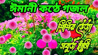 ঈমানী কণ্ঠে শিশির ভেজা সবুজ হাঁসি গজল। Salim mia [upl. by Ahsinod]