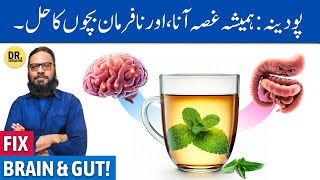 Pudina Ki Chai Ke GhareluJismani Fayde  Mint Tea Benefits  Dr Ibrahim [upl. by Rossuck167]