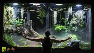 I Built a Giant Cloud Rainforest Vivarium [upl. by Einnalem]