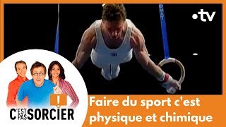 Faire du sport cest physique et chimique  Cest pas sorcier Intégrale [upl. by Deadman]