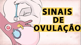 Como Saber se Estou Ovulando 8 Sintomas de Ovulação [upl. by Posehn]