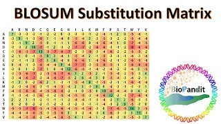 BLOSUM Substitution Matrix [upl. by Noremak]