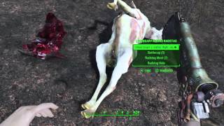 Fallout 4  Rarest Radstag Ever  Legendary Albino Radstag [upl. by Ricker152]