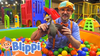 Blippi Visits Kinderland Indoor Playground  Fun and Educational Videos for Kid [upl. by Jeanna]