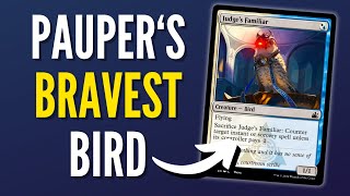 New 🏆UNDEFEATED🏆 Downshift BREAKS MTG Pauper Top Decks [upl. by January]