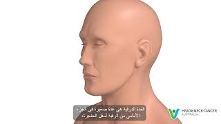 Arabic  What is Thyroid Cancer Signs amp Symptoms Head and Neck Cancer [upl. by Bracci]