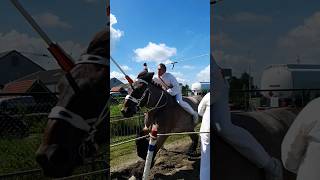 🐎 Ringrijden Aagtekerke Netherlands🇳🇱 TravelwithHugoF ringrijden aagtekerke horses [upl. by Nerissa]