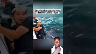 un requinbaleine saccroche au cul dun homme de quoi sagit il  creative tiktok video shorts [upl. by Aracat]