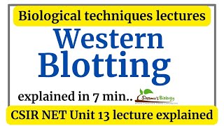 Western blotting technique animation  Western blotting principle procedure explained [upl. by Gagnon609]