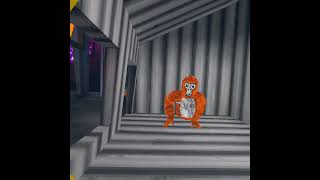 Chester cheese run summergorillatag gorillatag gtag vr [upl. by Atibat513]