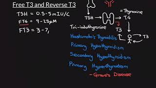 Free T3 and Reverse T3 Part 1 [upl. by Rustie]