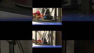 FLSUN Q5 3D PRINTING TIME LAPSE [upl. by Asial690]