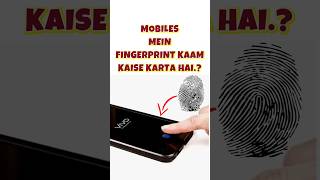 Fingerprint scanner kaam kaise karta hai internet fingerprint facelock smartphone thett mr83 [upl. by Makell207]