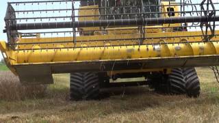 Trebbiatura Frumento 2014  New Holland CR8070 Poluzzi Rice 61 m [upl. by Burtie]