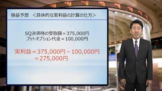 ＜その３＞下落相場に乗り遅れた後の戻り売り2番底狙いのプット買い成功事例 [upl. by Notsa]