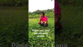 Ngara ngara banyak hutan funny comendi [upl. by Nahsed]