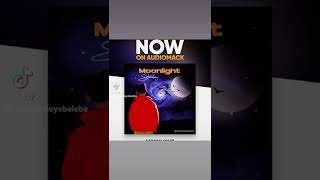 new song finally out 🔥🔥🔥httpsaudiomackcomstormboyebelebesongmoonlight DavidoOfficial [upl. by Newman334]