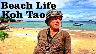 Koh Tao Thailand Sairee Beach and Mae Haad Beach [upl. by Avad]