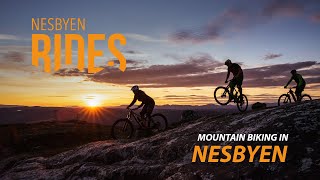 MTB Mountain biking in Nesbyen Norway [upl. by Anelrats]