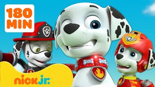 PAW Patrol  3 uur lang de BESTE momenten van Marshall  Nick Jr Nederlands [upl. by Ensign]