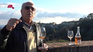 Grape INSIDERS origins of Morellino di Scansano with Erik Banti [upl. by Handel]