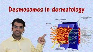 Desmosomes and its applied aspects for medical students  DrPRam Sushruth [upl. by Mosnar]