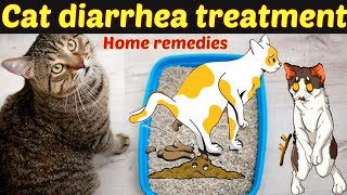 Cat diarrhea treatment and home remedies Common reason and treatment of cat diarrhea Drhira saeed [upl. by Monaco]