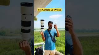 📸 Pro camera vs iPhone 📱Which one is better 🔥iphone photography wildlife shorts [upl. by Silvano543]