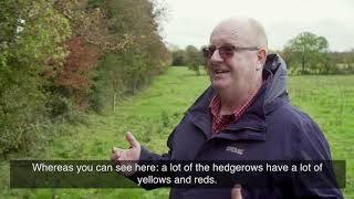 Managing Healthy Hedgerows [upl. by Eiramlatsyrc]