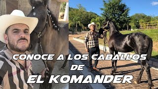 Conoce a los Caballos de El Komander [upl. by Annerb]