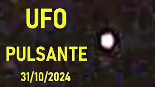 UFO PULSANTE CANALE VACCHELLI 31 OTTOBRE 2024 video originale senza montaggio [upl. by Nerdna]