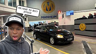 NEW USED CAR DEALER GOES TO MANHEIM CAR AUCTION TRYING TO BUY STOCK  I FIXED THE INSIGNIA [upl. by Josiah]