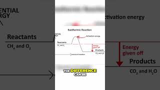 Unlocking the Secrets of Exothermic and Endothermic Reactions [upl. by Kari]