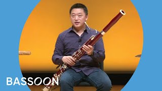 Guide to the Orchestra Bassoon [upl. by Oal320]