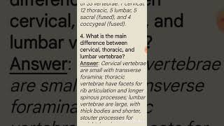 Vertebrae part 1vertebral column zoology shorts [upl. by Rehpotsirahc]