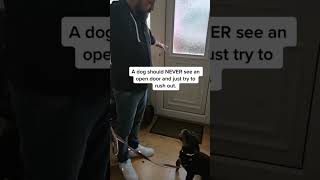 DOG TRAINING TIPS 🚨dog ddk9 dogtraining reels dogsofinstagram viralvideo viral 9 [upl. by Enyar]