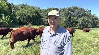 Folks wanting to start a successful grazing operation could learn the steps from Tom [upl. by Ssilem]