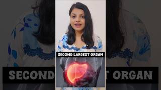 Liver healthy रखना है तो इसे जरूर खाना है health food viralshort liver khana [upl. by Holihs666]