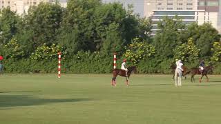 JINDAL PANTHER SHIELD  MATCH DAY 1  MAYFAIR vs STALLIONS [upl. by Booma]