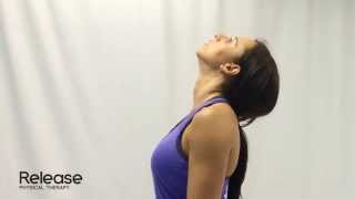 Cervical Spine Retraction amp Extension  McKenzie Exercise for Neck [upl. by Annohsal]