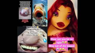 There are always haters… Support BOB Please🥺 fish funny memes shark musica animals amor [upl. by Eleonore]