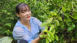 From the forest to the market Picking lemons to sell bathing and being attacked by bad guys [upl. by Akerboom234]