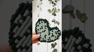 Малышка Циропегия Вуда plants растения plantlover nature macrame macramecreation [upl. by Boor548]