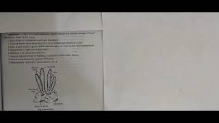 LEUCOSOLENIA PORIFERA ZOOLOGY PRACTICAL COMPLETE EXPLANATION IN BOTH ENGLISH AND HINDI [upl. by Assilat219]