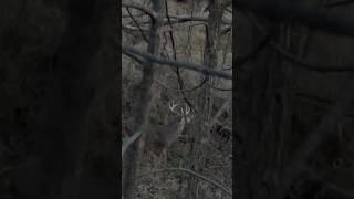 The best time of the year in Iowa Go find your X nature hunting deer deerhunting bowhunting [upl. by Teerprah]