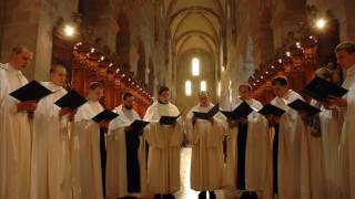 Gregorian Chant The Cistercian Monks Of Stift Heiligenkreuz In Paradisum and Psalm 121 122 [upl. by Riki]